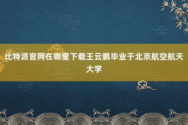 比特派官网在哪里下载王云鹏毕业于北京航空航天大学