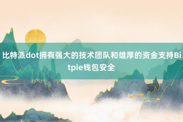 比特派dot拥有强大的技术团队和雄厚的资金支持Bitpie钱包安全